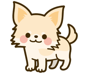 ロングコートチワワ