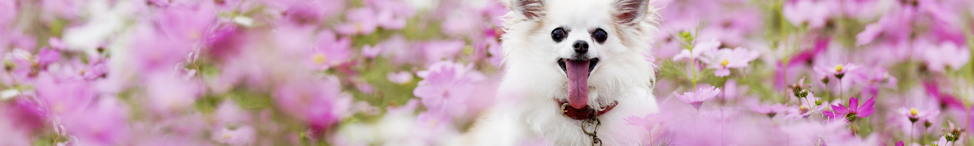 店舗概要イメージ