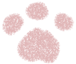 ポイントアイコン