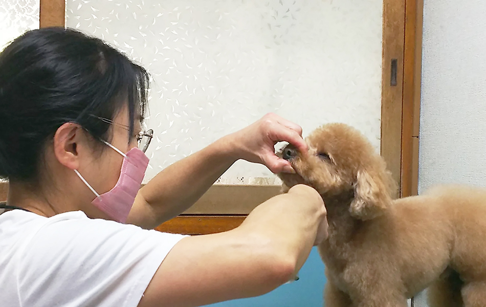 高いトリミング技術イメージ