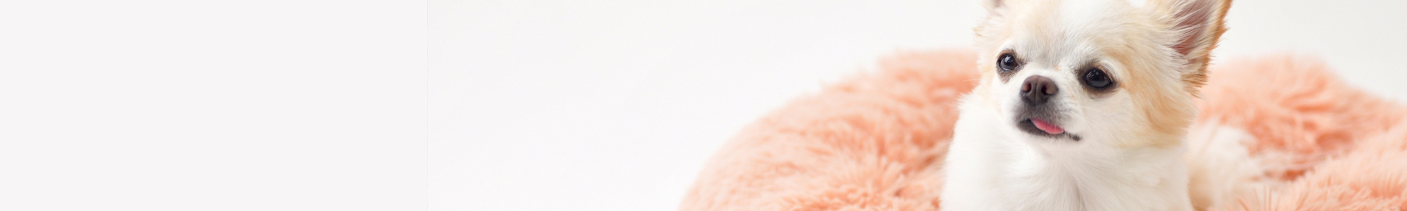 当店が選ばれる理由イメージ